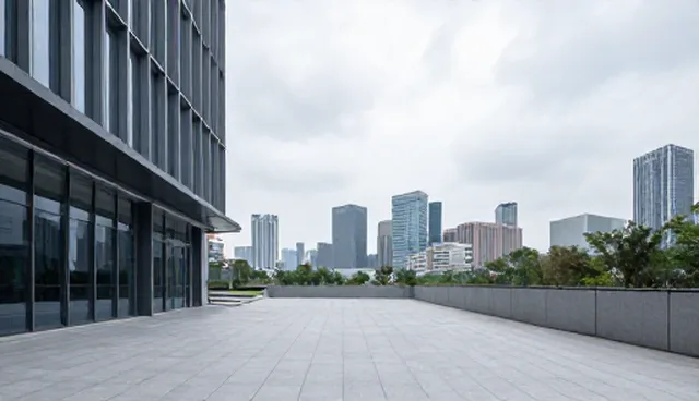 技术咨询在组织发展中的适用情况与限制